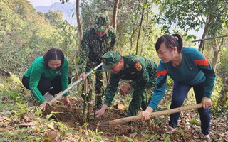 Lạng Sơn: Tặng 1.200 cây tre cho các gia đình thực hiện mô hình "Lũy tre biên giới Việt"