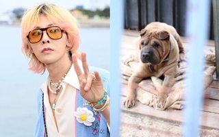 Sau 3 năm, nghi vấn G-Dragon ngược đãi thú cưng đã được làm sáng tỏ