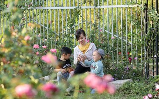 Bà mẹ 2 con đổ mồ hôi trồng hoa trái và rau sạch, tìm bình yên trong khu vườn nhỏ
