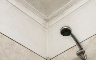 Mách bạn mẹo hay để loại bỏ nấm mốc trên trần nhà tắm