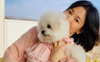 Sau thời gian "ở ẩn", Song Hye Kyo gây xôn xao chỉ vì 1 tấm ảnh 