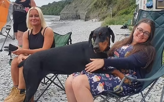 Chủ bị bệnh hiểm nghèo nhưng vừa dẫn chó đến bãi biển thì liền được cứu sống