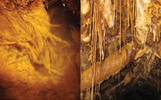 Tìm thấy các dạng sống "ngoài hành tinh" trong một mỏ Uranium bị bỏ hoang ở Đức