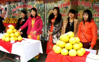 Hà Nội: Phát triển nông nghiệp sinh thái gắn với du lịch, làng nghề