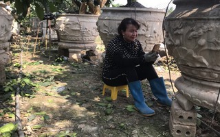 Phụ nữ Văn Giang nhàn tênh nhờ tưới cây bằng... điện thoại