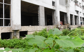 Hàng nghìn căn hộ tái định cư bỏ hoang trên “đất vàng" Hà Nội