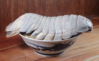 Món mì bọ biển khổng lồ gây sốt: 'Giá chát' nhưng thịt chắc như tôm hùm!