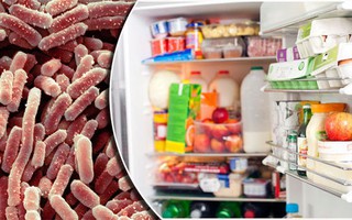 4 loại vi khuẩn nguy hiểm ưa thích môi trường tủ lạnh