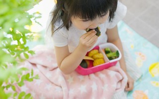 4 kiểu ép ăn "truyền thuyết" gây hại cho hệ tiêu hóa của con