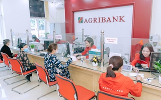 Agribank tiếp sức vốn rẻ, giúp doanh nghiệp nông nghiệp vững vàng vượt bão