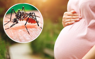 Mẹ bầu mắc sốt xuất huyết vào giai đoạn nào của thai kỳ là nguy hiểm nhất?