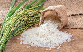 Giữ chất lượng, thương hiệu gạo giữa biến động lương thực toàn cầu