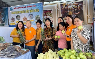Thừa Thiên - Huế lần đầu tổ chức ngày hội “Giao lưu kết nối, giới thiệu mô hình sinh kế tiêu biểu cho phụ nữ bị mua bán trở về”