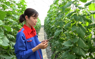 Áp dụng công nghệ 4.0 để làm nông nghiệp sạch 