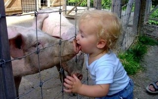 Cha mẹ "khóc thét" khi thấy con nghịch phá kiểu này