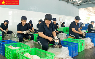 Mở đường cho hàng Việt Nam sang các thị trường tiềm năng và mới mẻ
