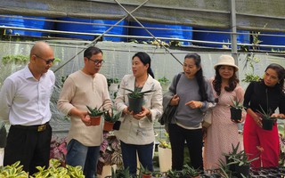 Hỗ trợ nhà sản xuất đưa nông sản tỉnh Lâm Đồng vào thị trường TPHCM 