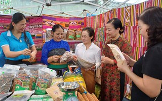Thanh Hoá: Nhiều hoạt động sôi nổi tại Ngày Phụ nữ sáng tạo - khởi nghiệp năm 2023