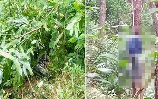 Vụ truy sát gia đình vợ ở Nghệ An: Nghi phạm lên rừng treo cổ tự sát sau khi gây án