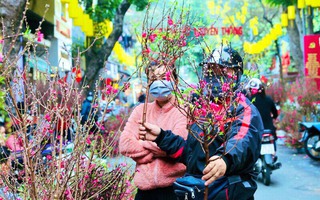 Chợ hoa Hàng Lược - nét văn hóa trăm năm của Hà Nội