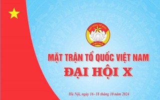 Mặt trận Tổ quốc Việt Nam: Các tổ chức tiền thân và các kỳ đại hội