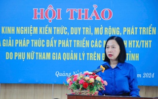 Quảng Ngãi: Tìm giải pháp thúc đẩy phát triển các mô hình hợp tác xã, tổ hợp tác