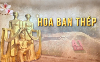 Phim tài liệu: Hoa ban thép - Phụ nữ và Chiến thắng Điện Biên Phủ (tập 1)