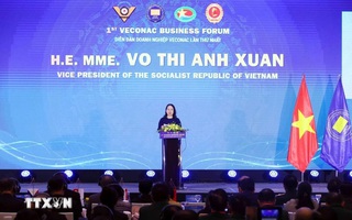 Phó Chủ tịch nước dự Diễn đàn Doanh nghiệp Cựu chiến binh ASEAN lần thứ nhất