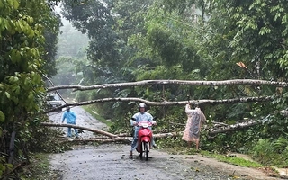 Quảng Nam: Ảnh hưởng của bão số 6, hơn 18.000 người dân phải di dời