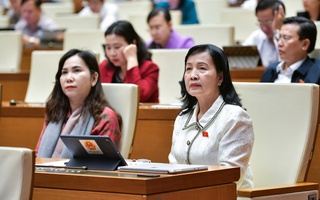 "Temu đang tận dụng việc miễn thuế với hàng giá trị nhỏ để bán hàng giá rẻ vào Việt Nam"