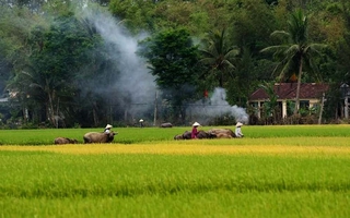 Khói chiều vương nhớ