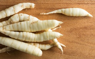 Củ dong vào mùa: Ăn củ dong có tác dụng gì với sức khỏe?