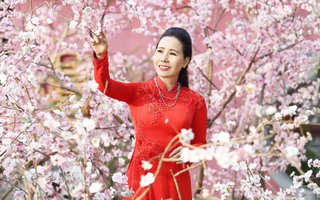 Người đẹp Kim Chi rực rỡ với áo dài xuân