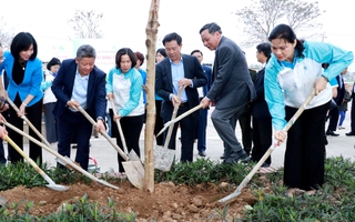 Phụ nữ Thủ đô phấn đấu trồng 7.000 cây xanh, cây ăn trái trong năm 2024