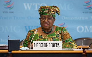 WTO công bố quỹ 50 triệu USD hỗ trợ nữ doanh nhân tại các nước đang phát triển