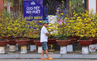 Vắng bóng "thượng đế", tiểu thương tại chợ hoa Tết lớn nhất Đà Nẵng đứng ngồi không yên