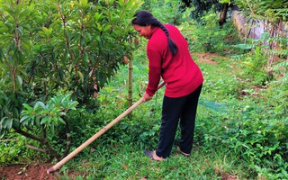 Phụ nữ Kon Tum tiến bộ trong cách nghĩ, đa dạng hóa cách làm, thoát nghèo bền vững