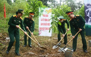 Bộ Tư lệnh Bảo vệ Lăng Chủ tịch Hồ Chí Minh tổ chức Tết trồng cây "Đời đời nhớ ơn Bác Hồ"