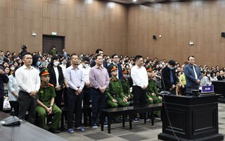 Chủ tịch Tân Hoàng Minh lĩnh án 8 năm tù