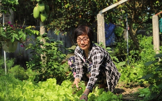 An Nhơn (Bình Định): Nhà sạch, vườn xanh từ mô hình ủ phân hữu cơ tại nhà hội viên phụ nữ