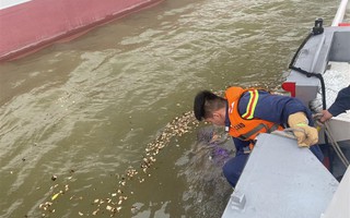 Đã tìm thấy thi thể cuối cùng trong vụ lật thuyền khiến 4 phụ nữ tử vong trên sông Chanh