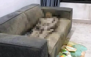 Thông tin mới vụ phát hiện thi thể chết khô trong căn hộ chung cư ở Hà Nội
