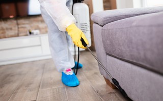 5 lưu ý khi dùng thuốc diệt côn trùng trong nhà để tránh gây hại cho sức khoẻ