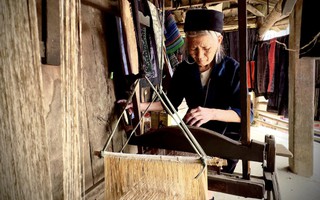 Lào Cai: Nhiều phụ nữ dân tộc Mông gặp khó khăn vì quên mặt chữ 