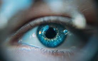 Mắt nhân tạo phục hồi thị lực cho người bị viêm võng mạc sắc tố