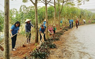 "4 tại chỗ, 3 sẵn sàng" phòng chống thiên tai, bão lũ 