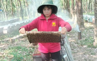 Xây dựng thương hiệu cho sản phẩm mật ong