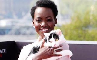 "Ngọc trai đen" Lupita Nyong’o hết sợ mèo sau khi đóng phim kinh dị