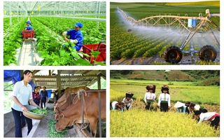 Tổ chức Tổng điều tra nông thôn, nông nghiệp năm 2025