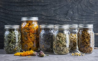 Điểm danh 7 loại thảo mộc tốt nhất cho sức khỏe lá gan mùa nóng